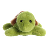 Aurora® - Shoulderkins™ - Tortuga Tal™ de 6"